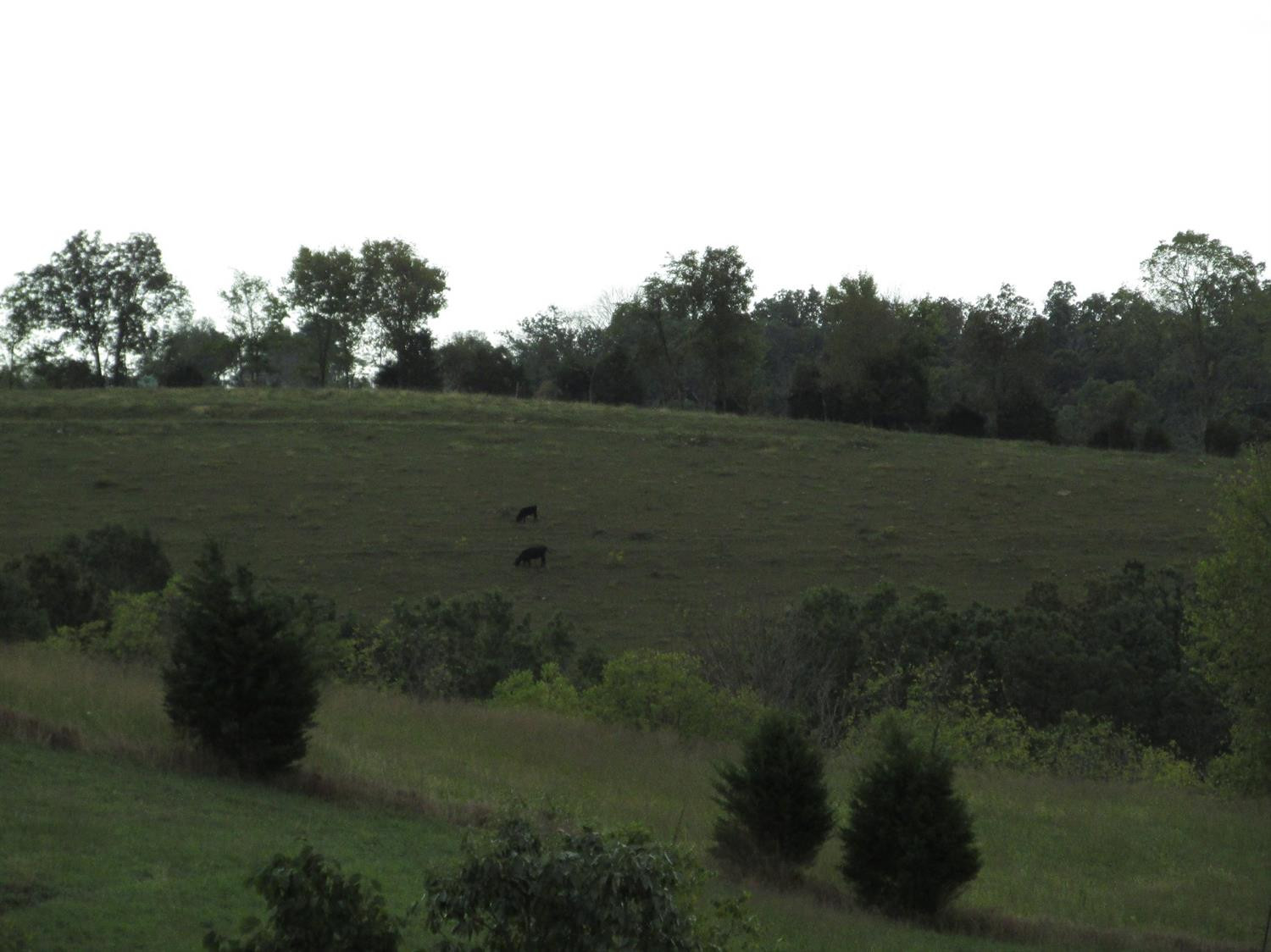 593 Center Ridge Road De Mossville, KY 41033 - Photo 19 of 26 Gallery Image 19