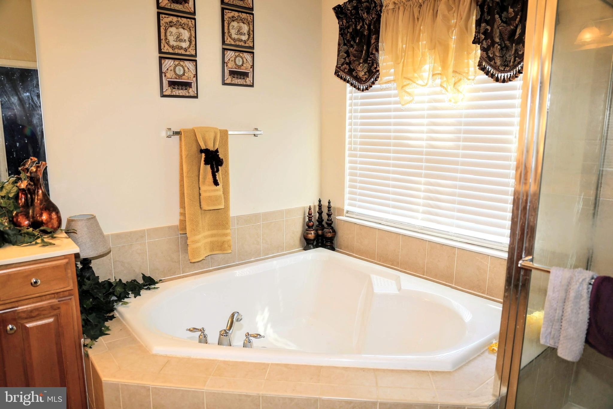 5501 Silver Maple Lane Fredericksburg, VA 22407 - Photo 36 of 37 Master bathroom with decor