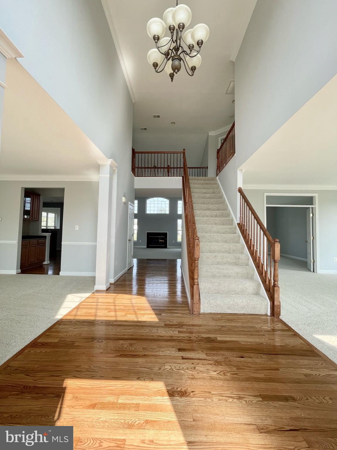 5501 Silver Maple Lane Fredericksburg, VA 22407 - Photo 7 of 37 Foyer 1