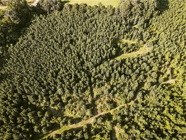 $135,000 | 0 Johnny Coco Road, Mansura, LA 71350