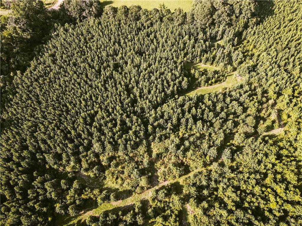 0 Johnny Coco Road Mansura, LA 71350 - Photo 2 of 4