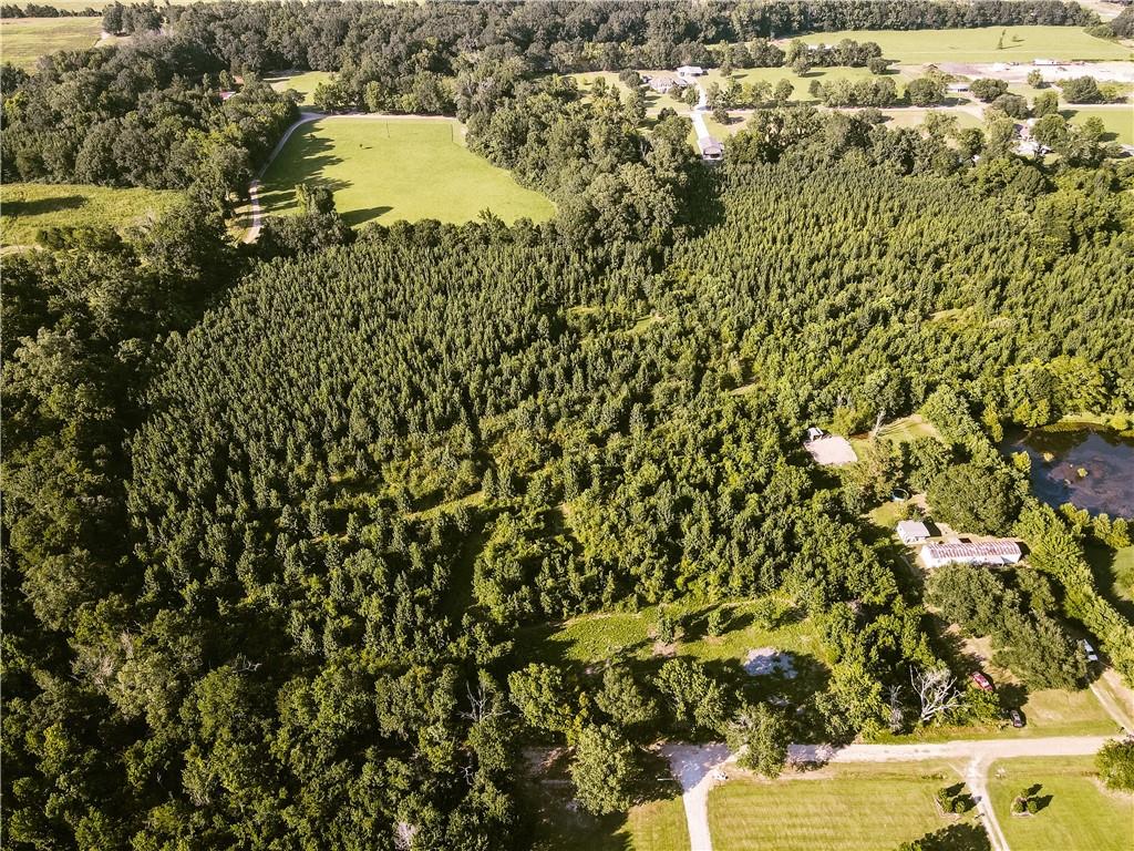 0 Johnny Coco Road Mansura, LA 71350 - Photo 3 of 4