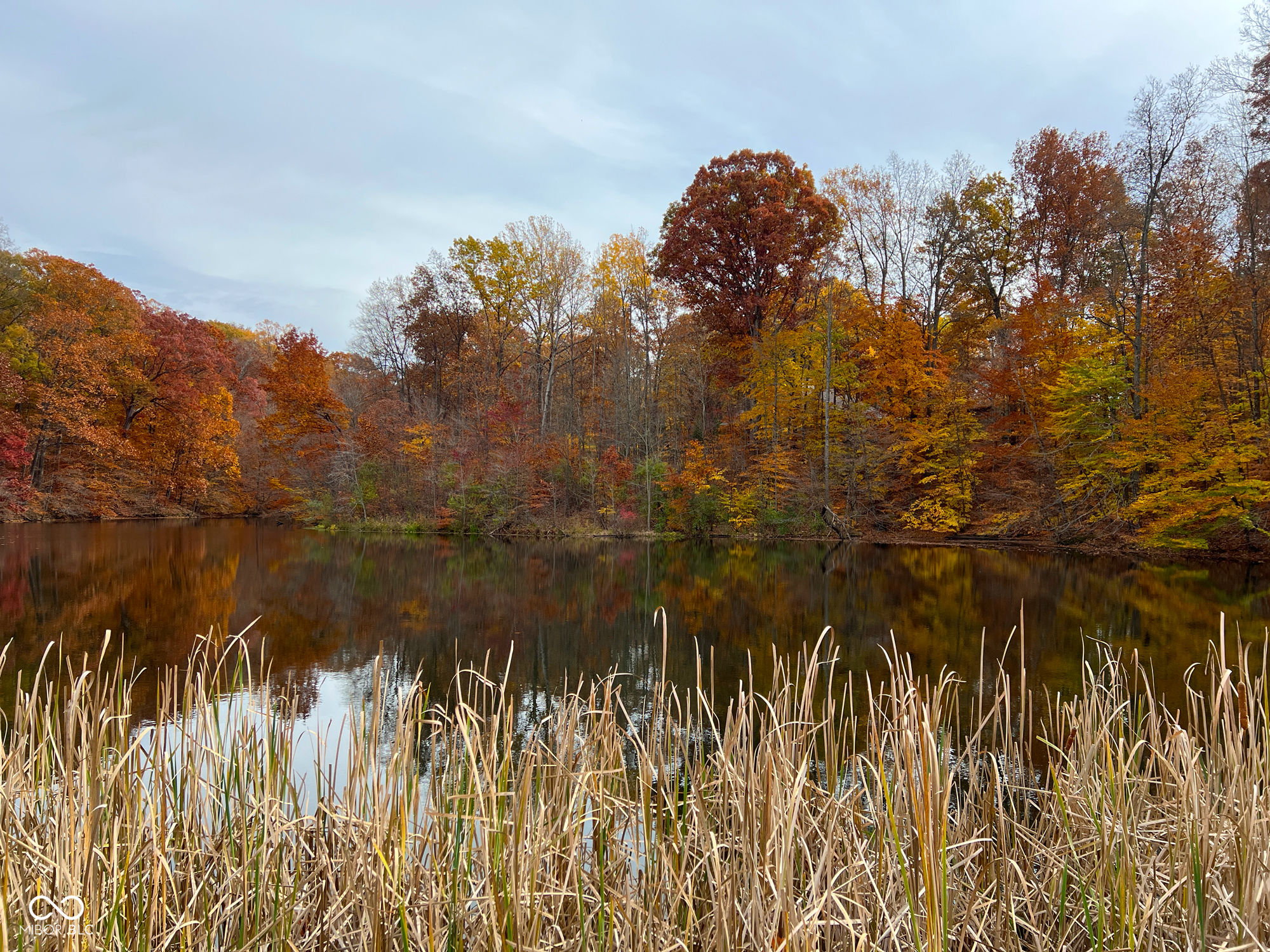 6868 North Baltimore Road Monrovia, IN 46157 - Photo 40 of 51