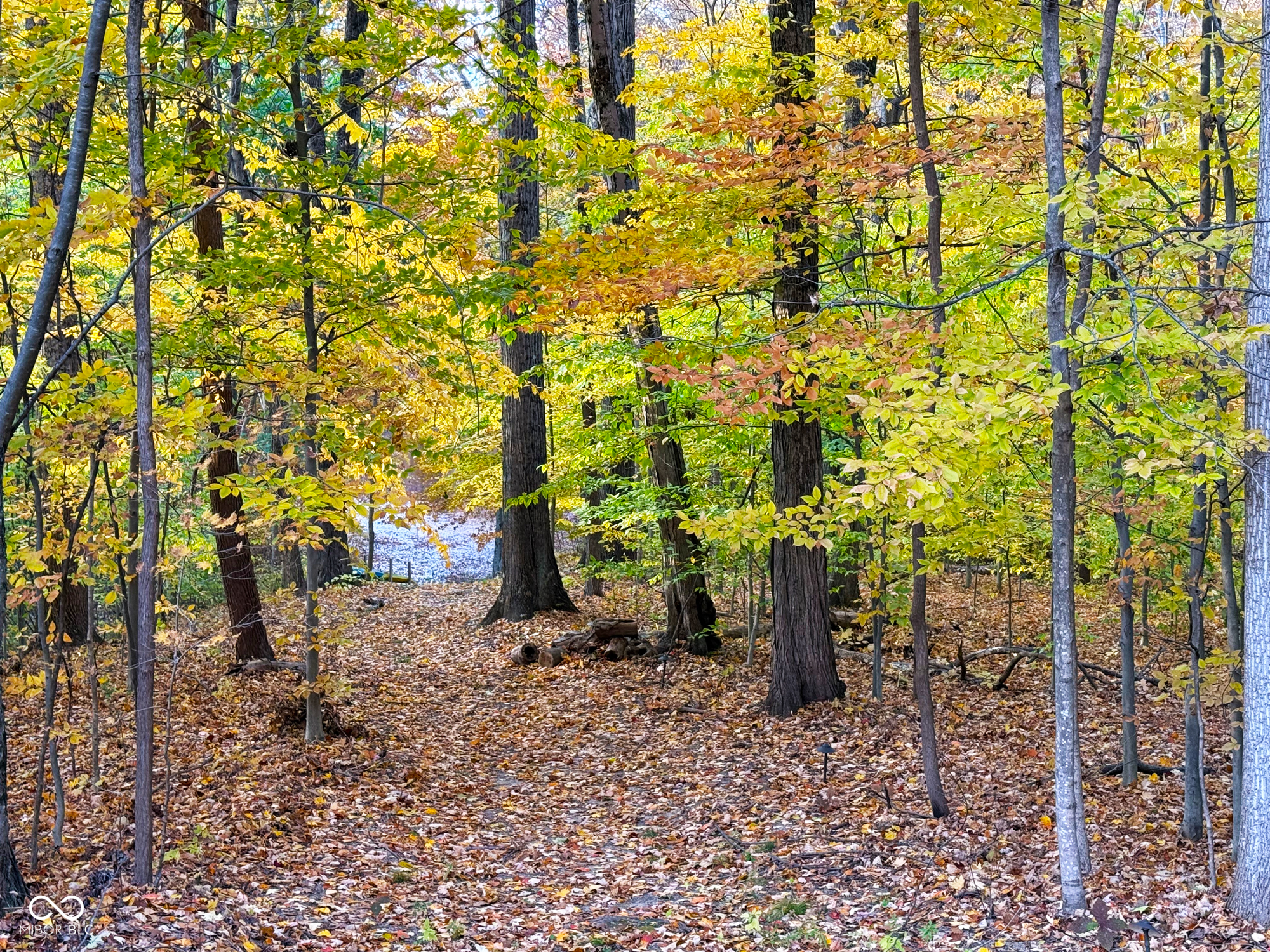 6868 North Baltimore Road Monrovia, IN 46157 - Photo 41 of 51