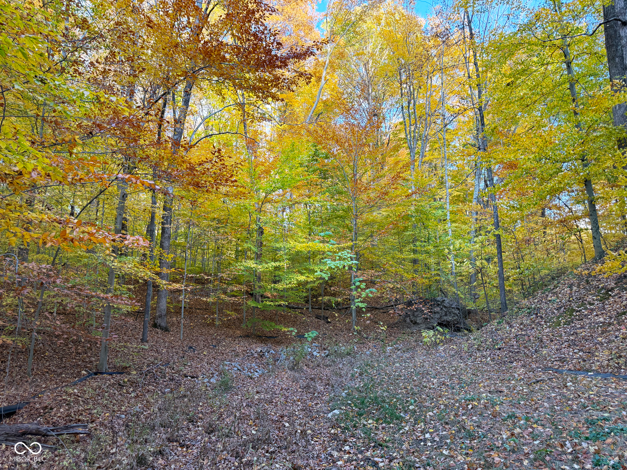 6868 North Baltimore Road Monrovia, IN 46157 - Photo 45 of 51