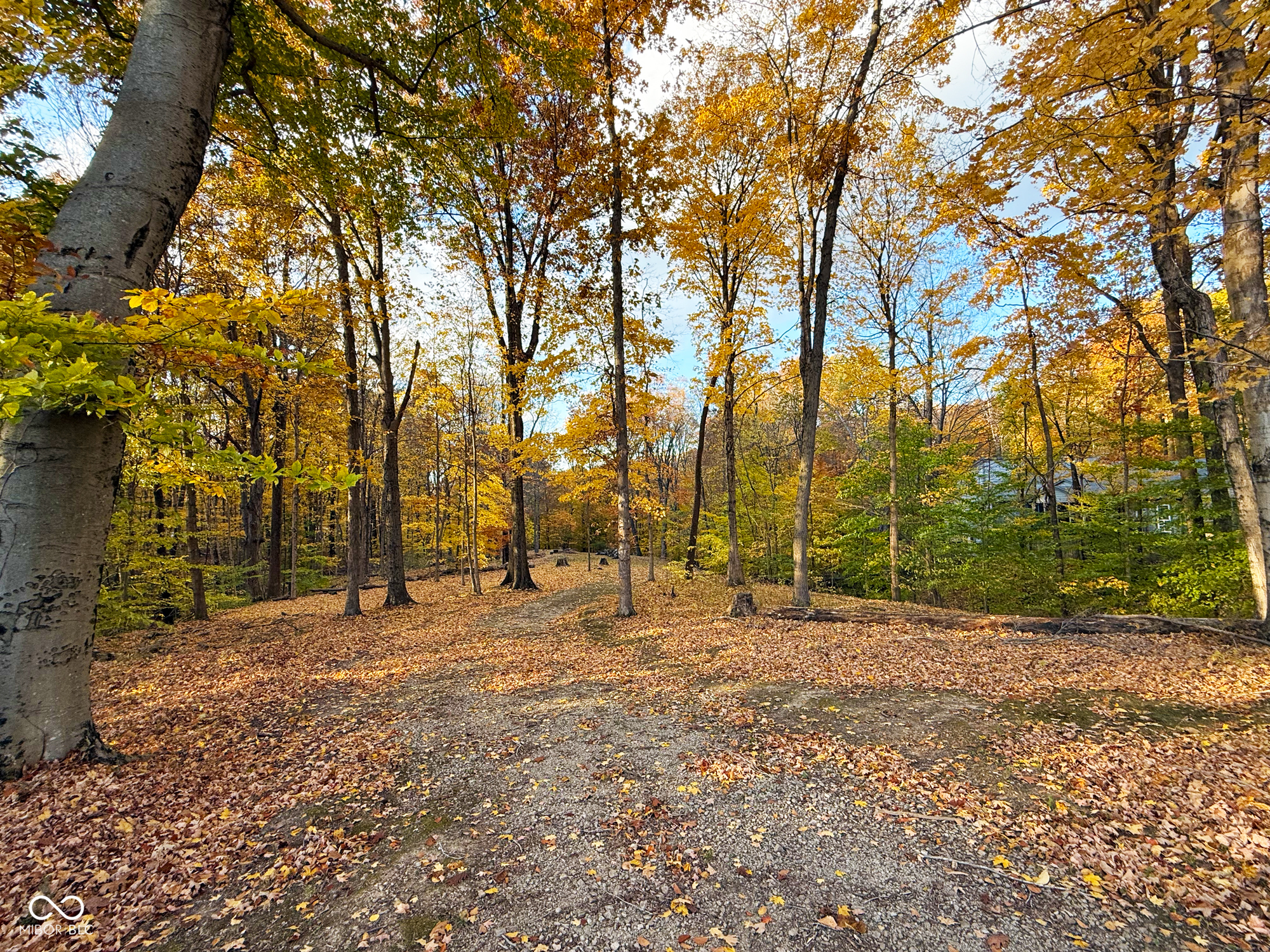 6868 North Baltimore Road Monrovia, IN 46157 - Photo 46 of 51