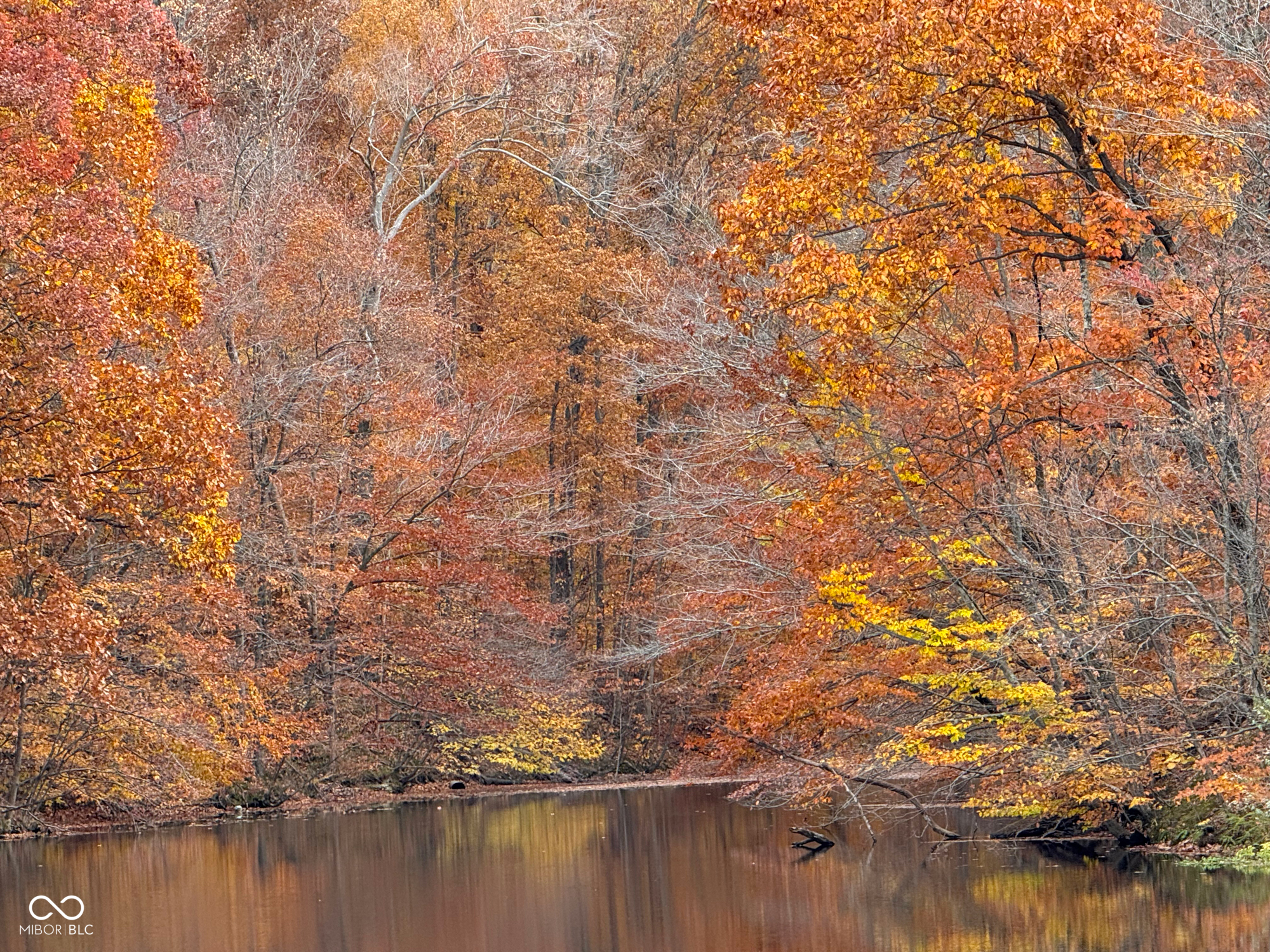 6868 North Baltimore Road Monrovia, IN 46157 - Photo 49 of 51