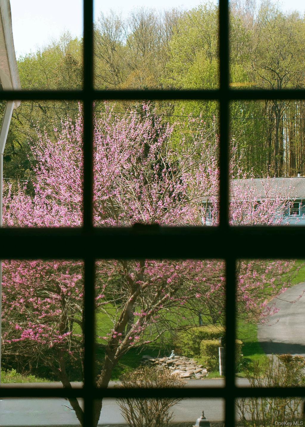 93 Horton Road Washingtonville, NY 10992 - Photo 48 of 50 Gallery Image 48