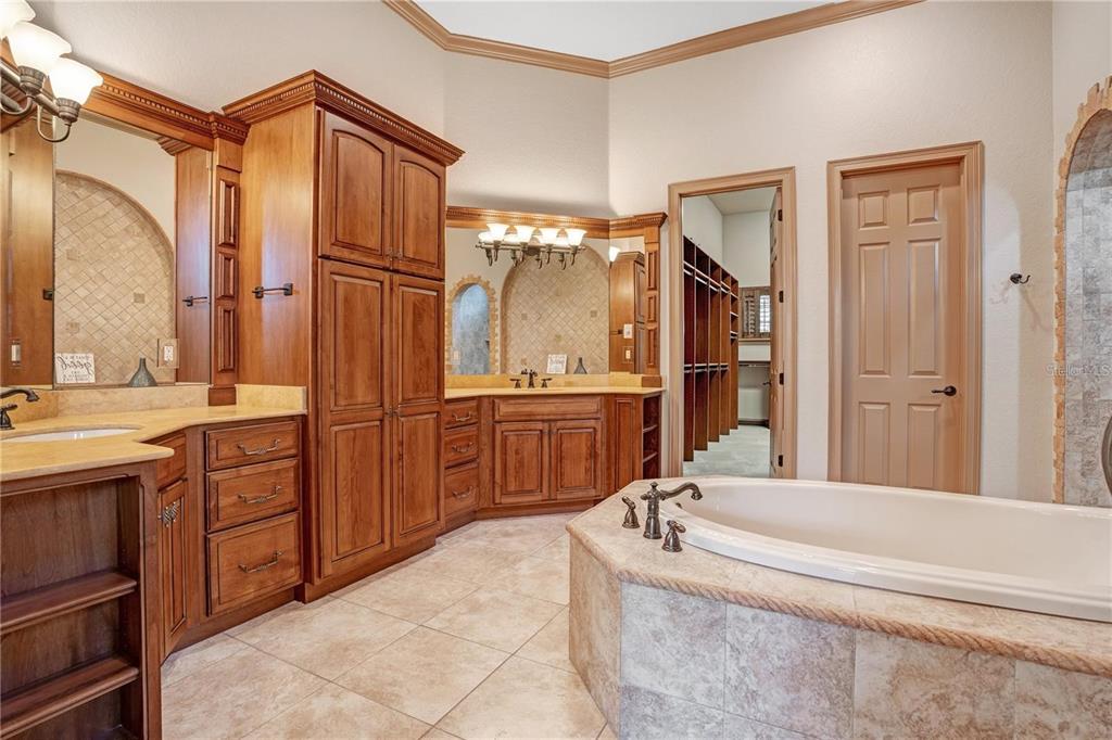11050 Coniston Way Windermere, FL 34786 - Photo 31 of 62
