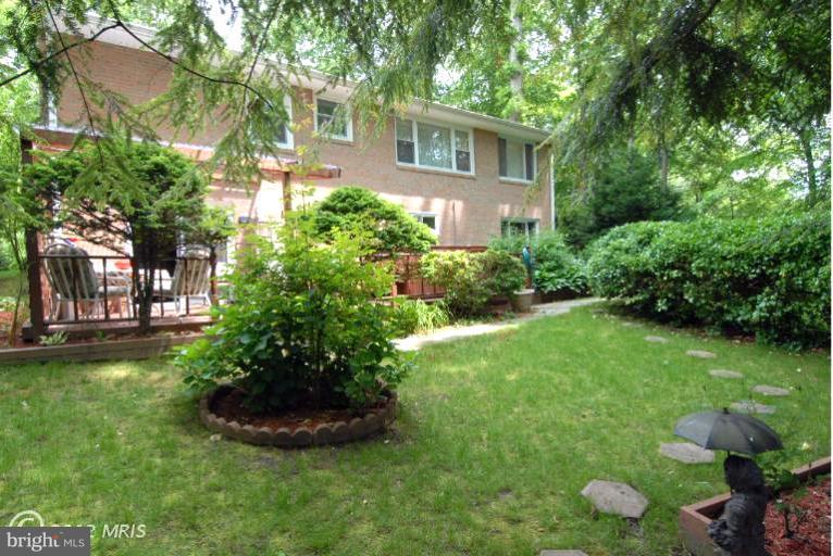 Rear of the house and back yard