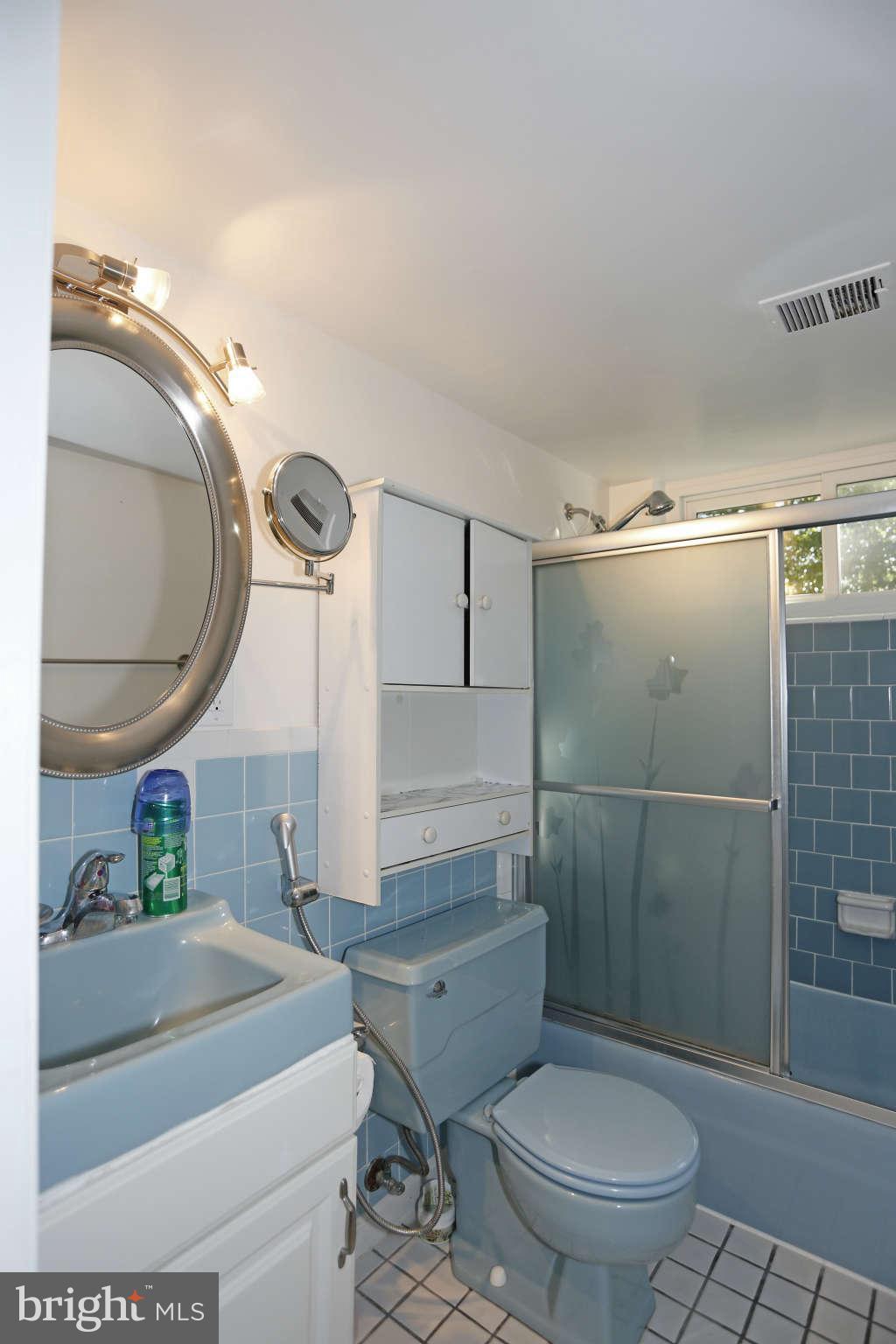 5904 River Road Bethesda, MD 20816 - Photo 21 of 25 Lower level full bath with tub