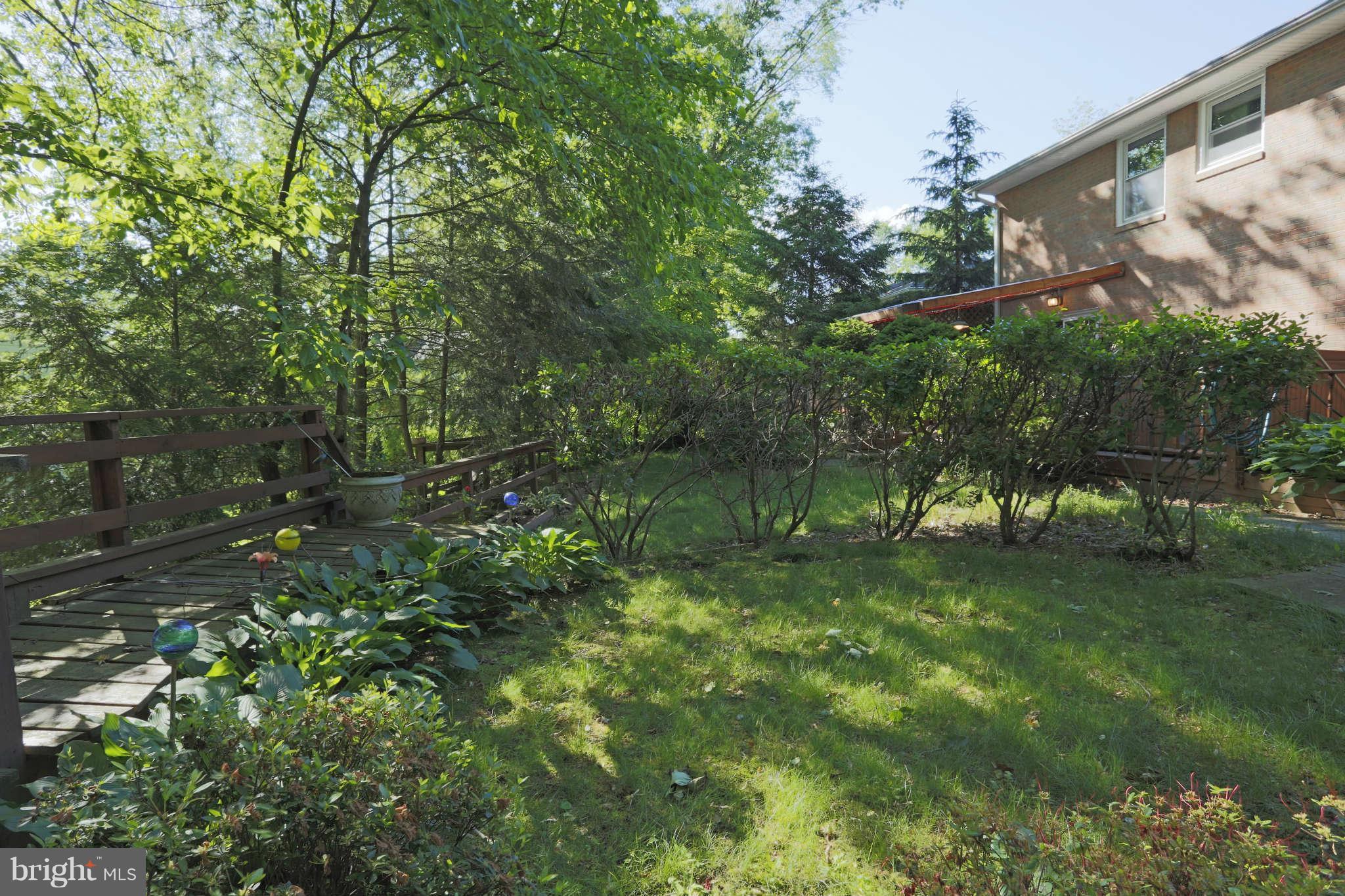 5904 River Road Bethesda, MD 20816 - Photo 25 of 25 Extensively landscaped private back yard
