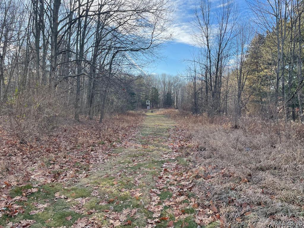 6375 Fish Lake Road North Branch, MI 48461 - Photo 11 of 29