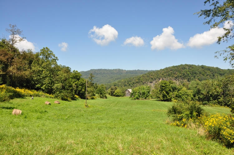 1087 Snowflake Road Ronceverte, WV 24970 - Photo 4 of 50 Gallery Image 4
