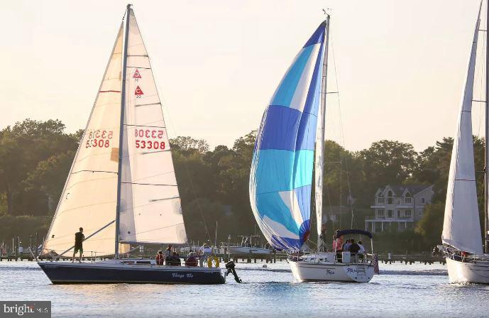 11 Riverview Road Severna Park, MD 21146 - Photo 55 of 61 Wednesday Sailboat Races - viewed from the deck