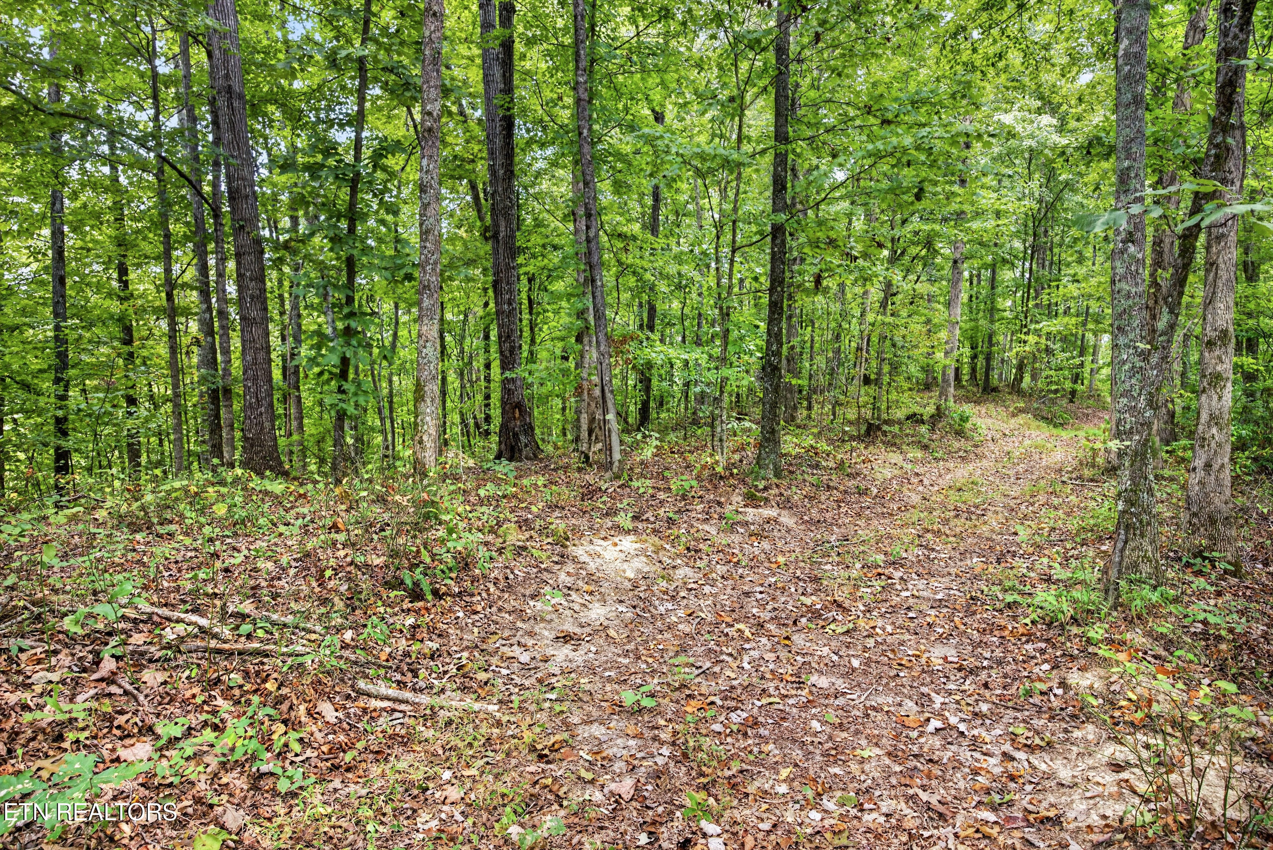 Lot 27 Timber Ridge Lane Celina, TN 38551 - Photo 9 of 21 8-8N5A6861