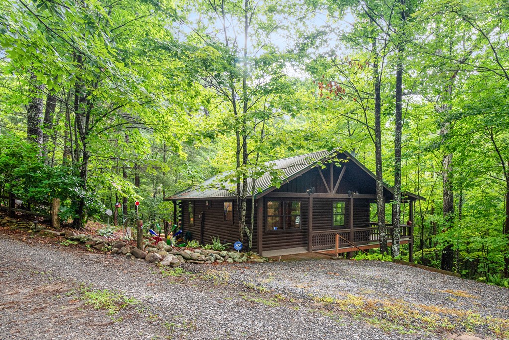 67 Tomahawk Trail Blue Ridge, GA 30513 - Photo 32 of 32 Driveway spaces in front of cabin
