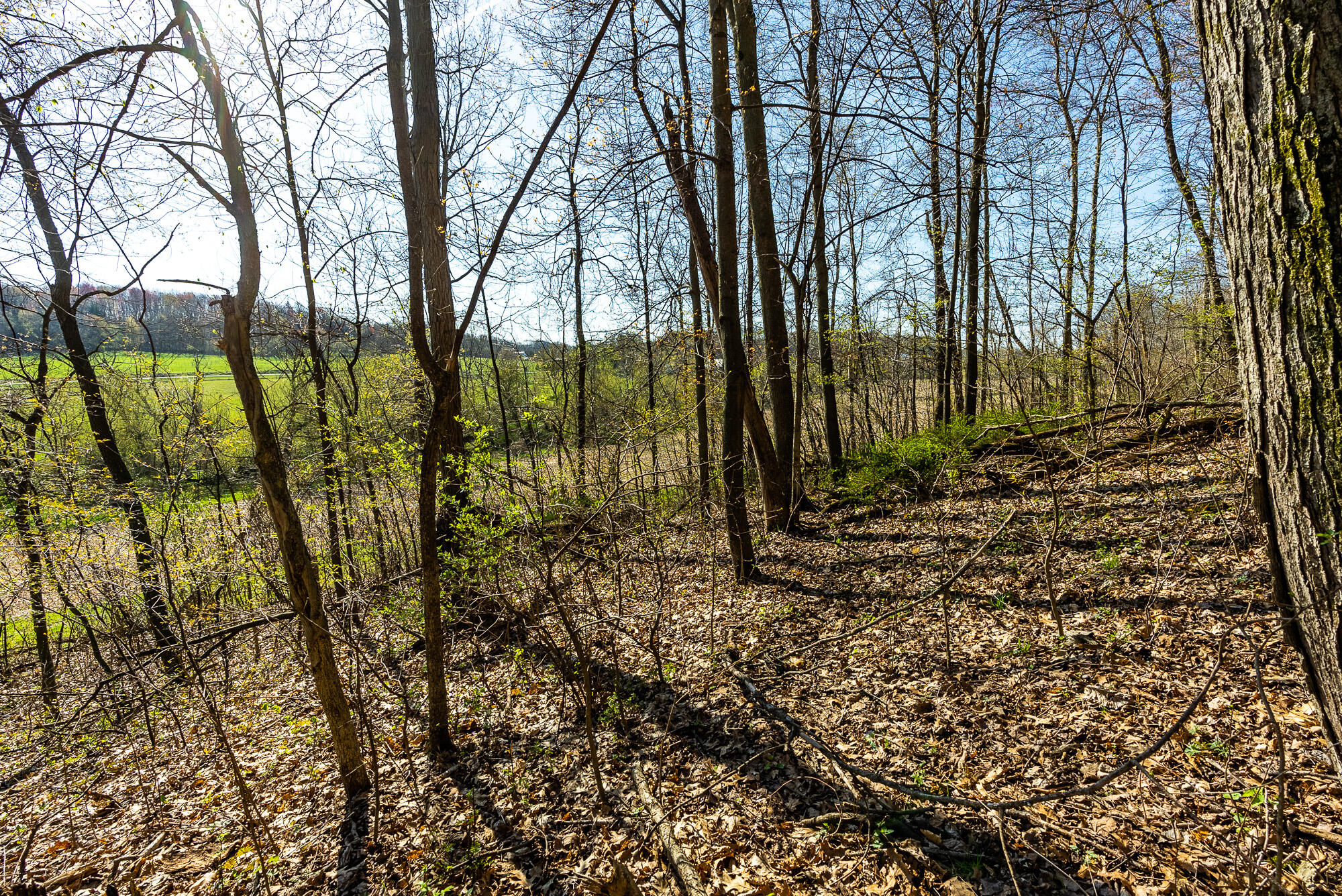 Lt2 Eli Valley Road Hillpoint, WI 53937 - Photo 15 of 47 Sauk-County-WI-53-Acres-Land-For-Sale-15
