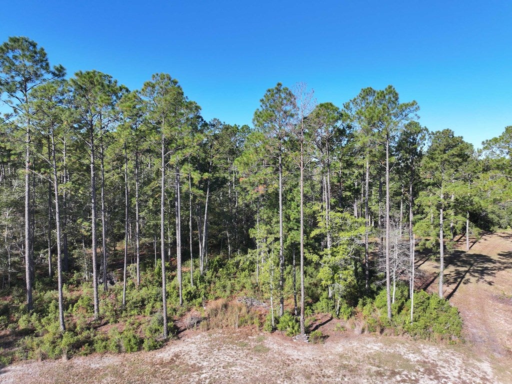 8311 Coffee Road Hahira, GA 31632 - Photo 4 of 9 Gallery Image 4