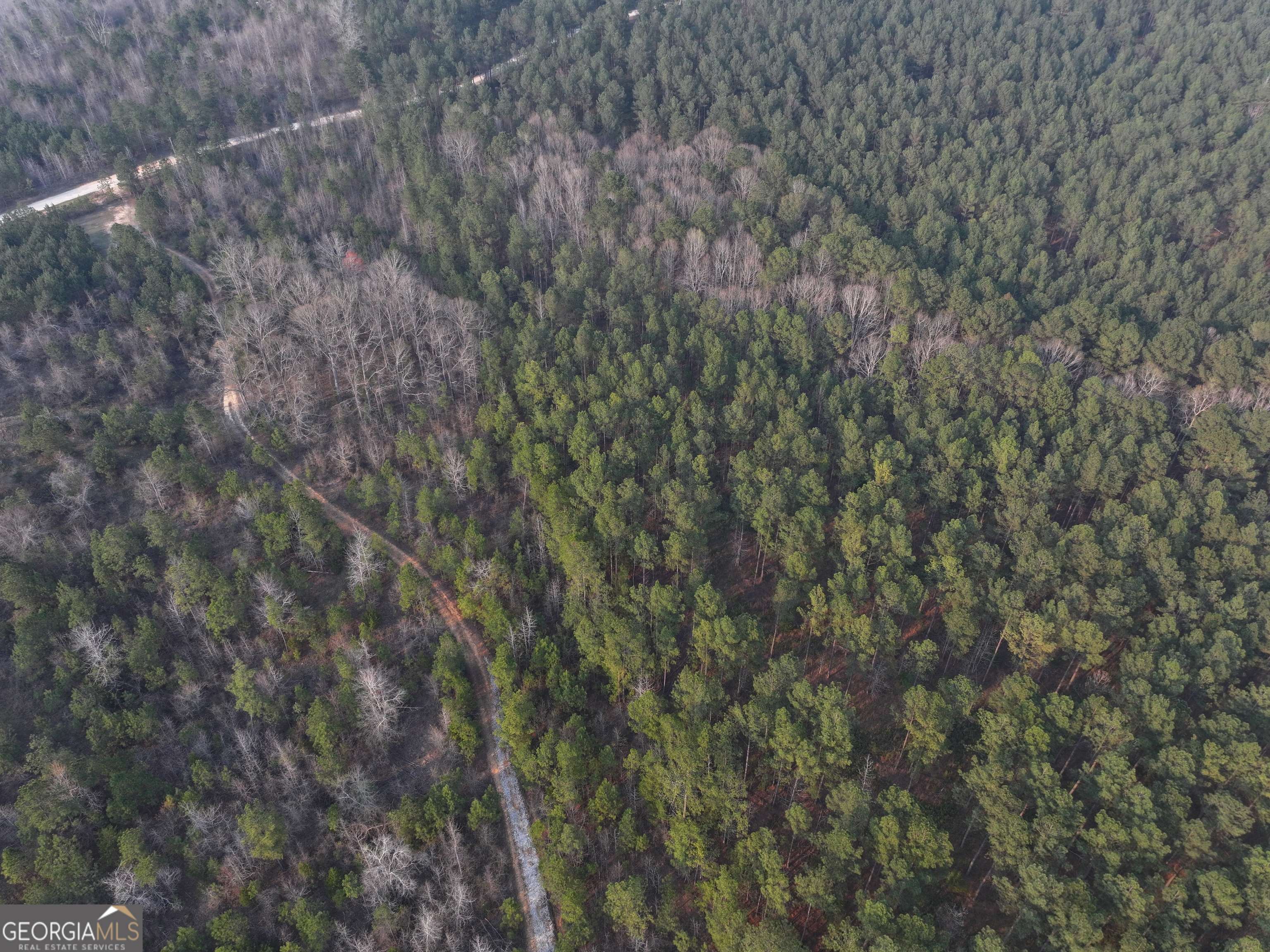 117 Acres On Mccosh Mill Road Franklin, GA 30217 - Photo 19 of 24