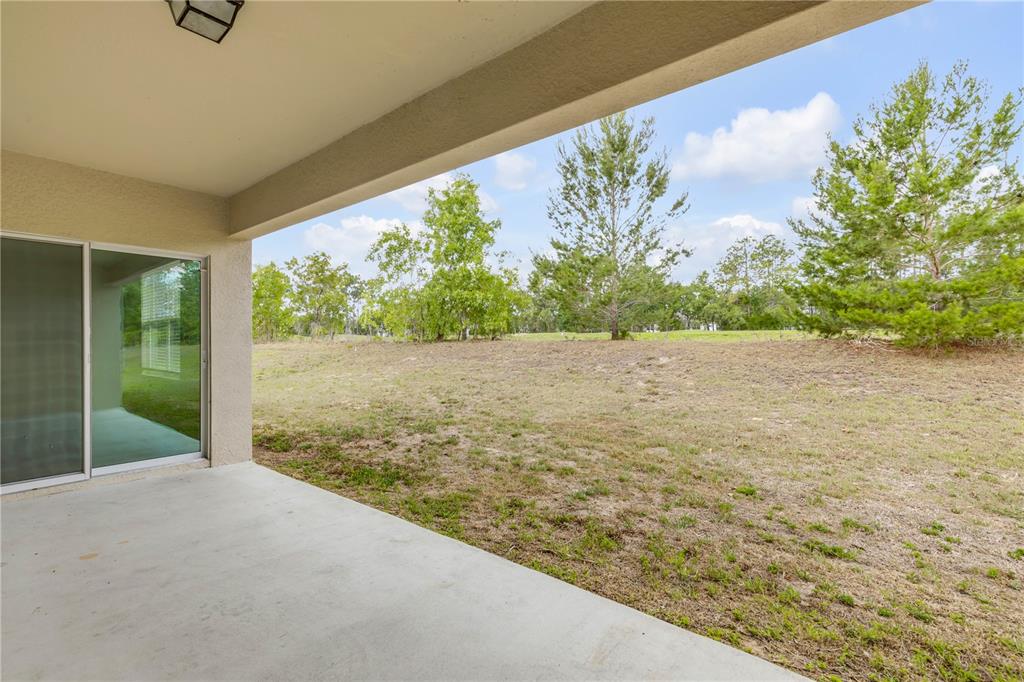 48 Hickory Loop Ocala, FL 34472 - Photo 41 of 52 a view of a big yard with potted plants