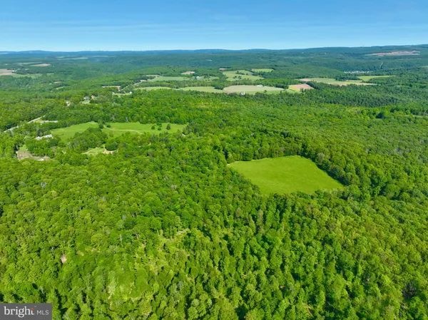 a view of a lush green forest with trees and some houses