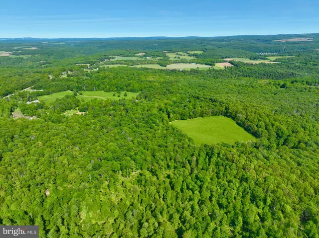a view of a lush green forest with trees and some houses