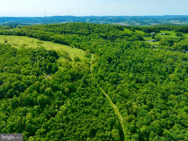 a view of a green field with lots of bushes