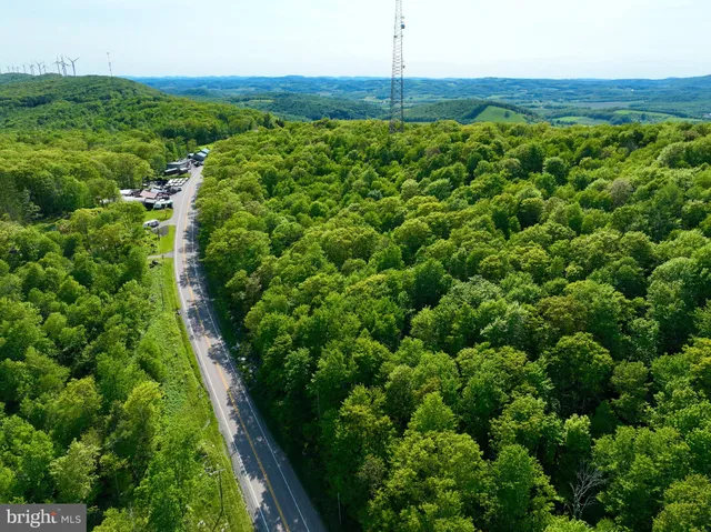a view of yard with green space