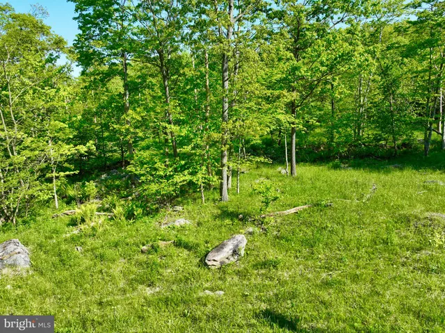 $825,000 | George Washington Highway, Oakland, MD 21550