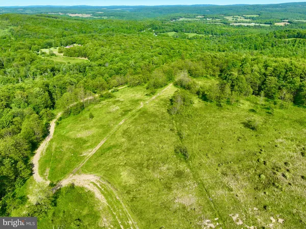 a view of a lush green space