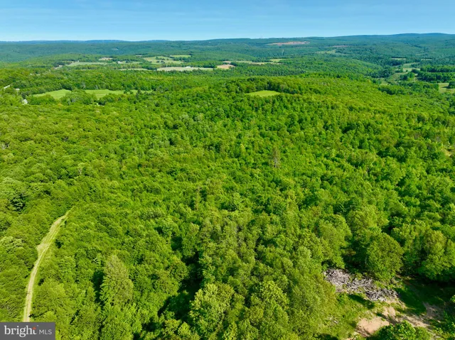 a view of a green field with lots of green space