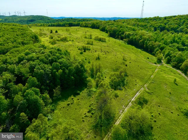 a view of a lush green field