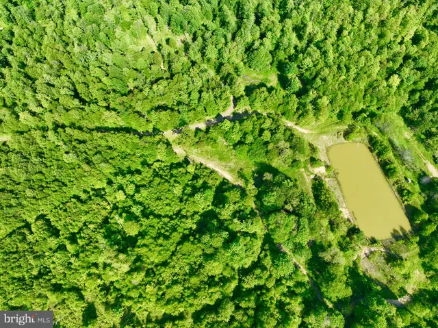a view of a green field with an ocean view
