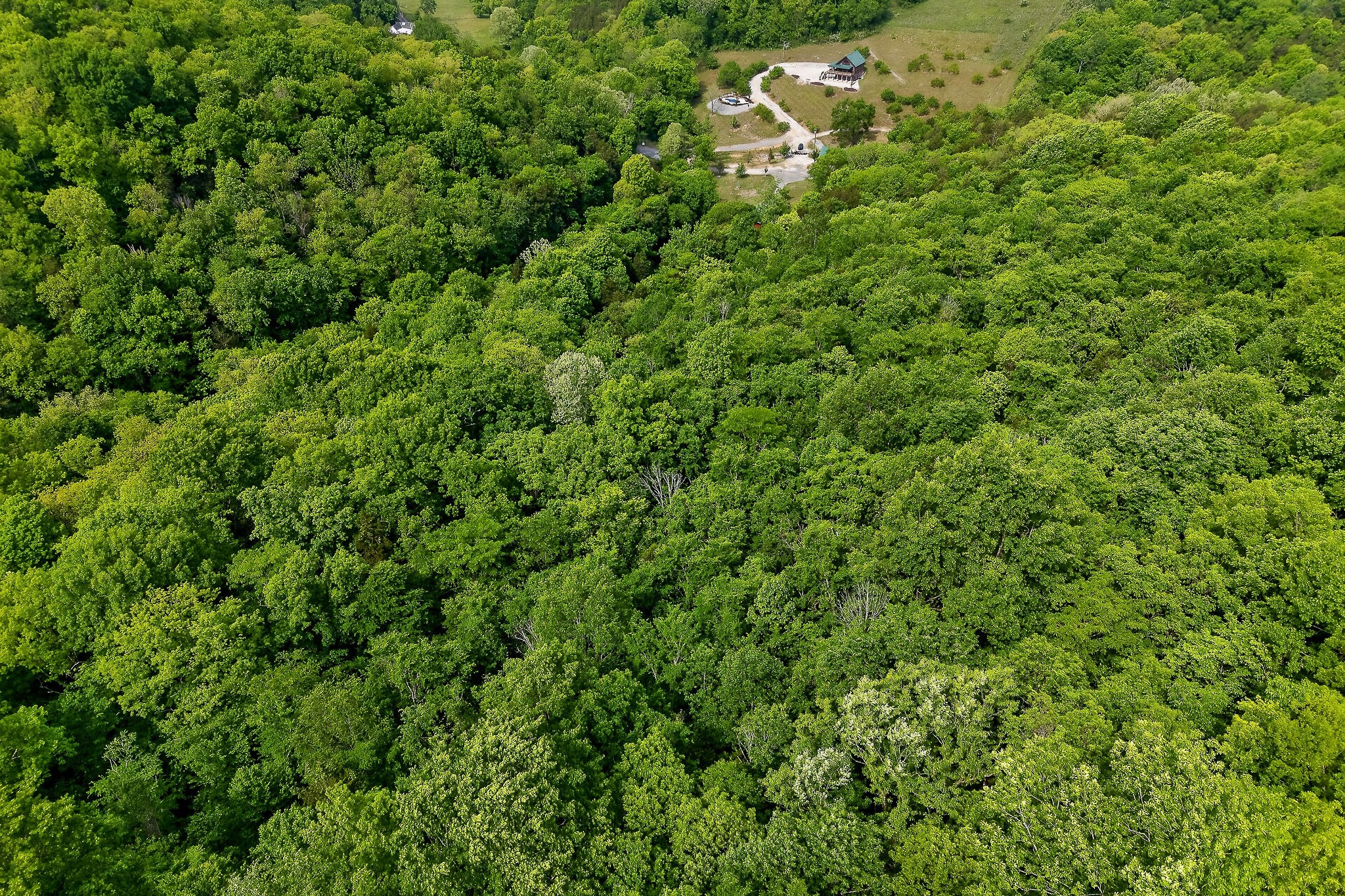 4830 Ensor Hollow Road Granville, TN 38564 - Photo 9 of 61