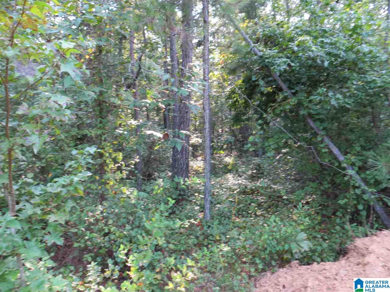 Eureka Road, Unit 1 Lincoln, AL 35096 - Photo 31 of 34