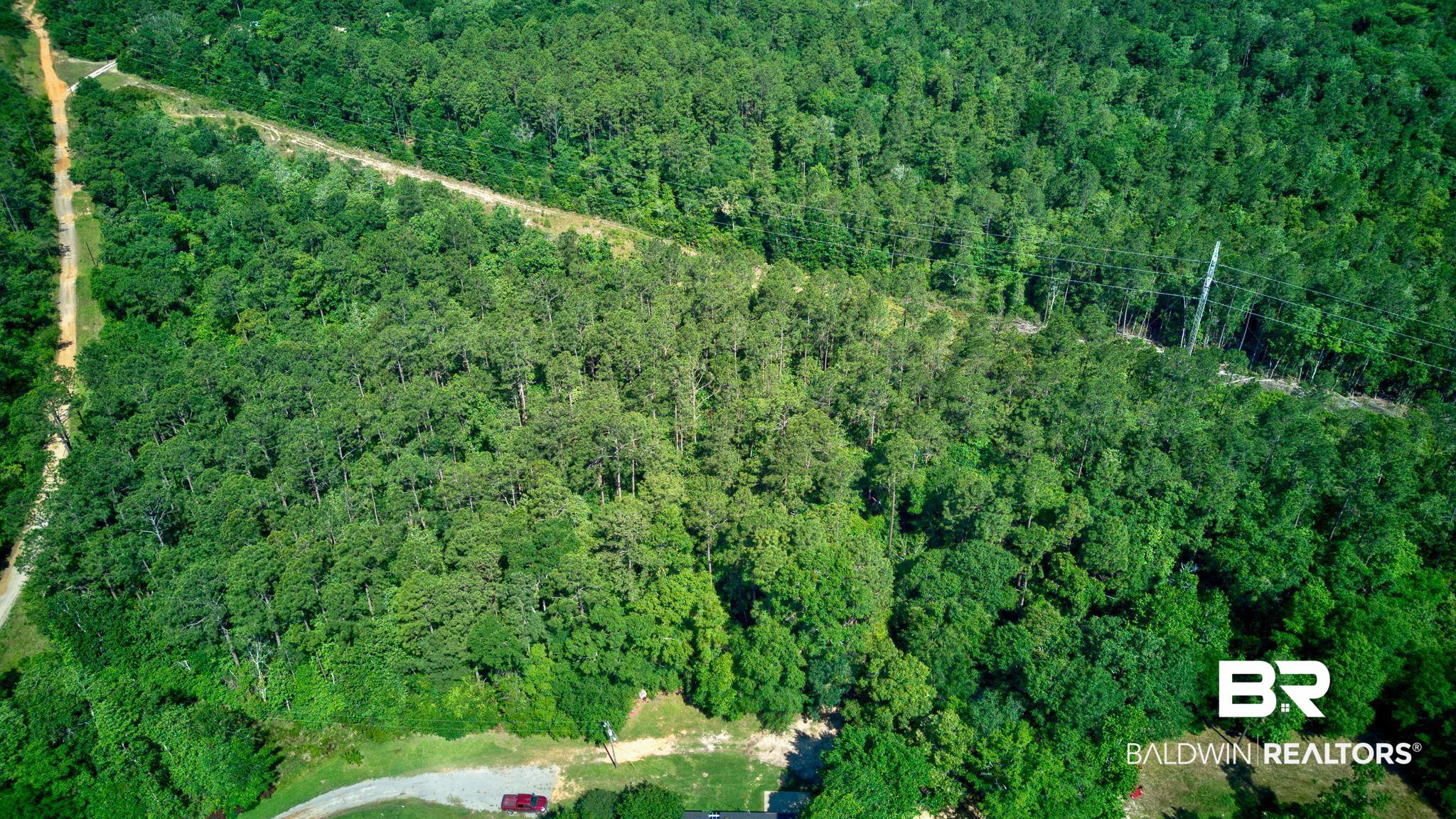 0 Evans Road Chunchula, AL 36521 - Photo 10 of 19