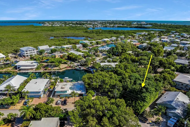 an aerial view of residential building and lake