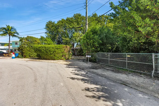 a view of a backyard with plants