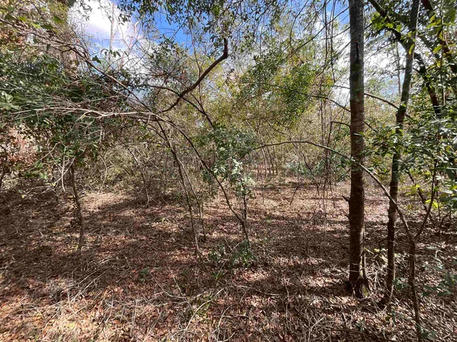 $120,000 | Vacant Southeast River Road, Lee, FL 32059