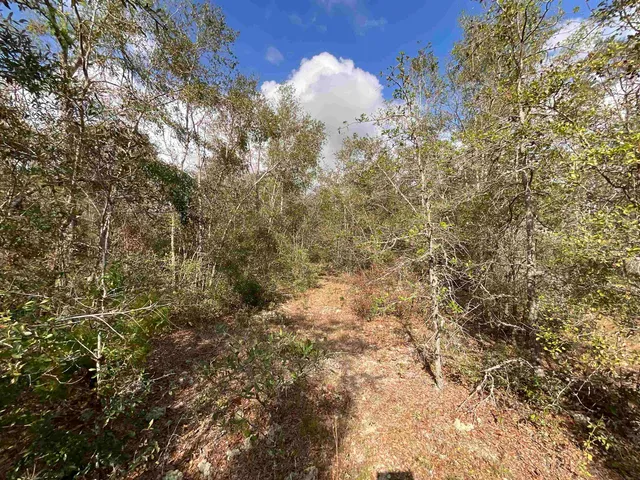 $120,000 | Vacant Southeast River Road, Lee, FL 32059