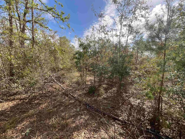 $120,000 | Vacant Southeast River Road, Lee, FL 32059