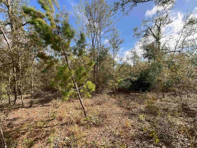 $120,000 | Vacant Southeast River Road, Lee, FL 32059