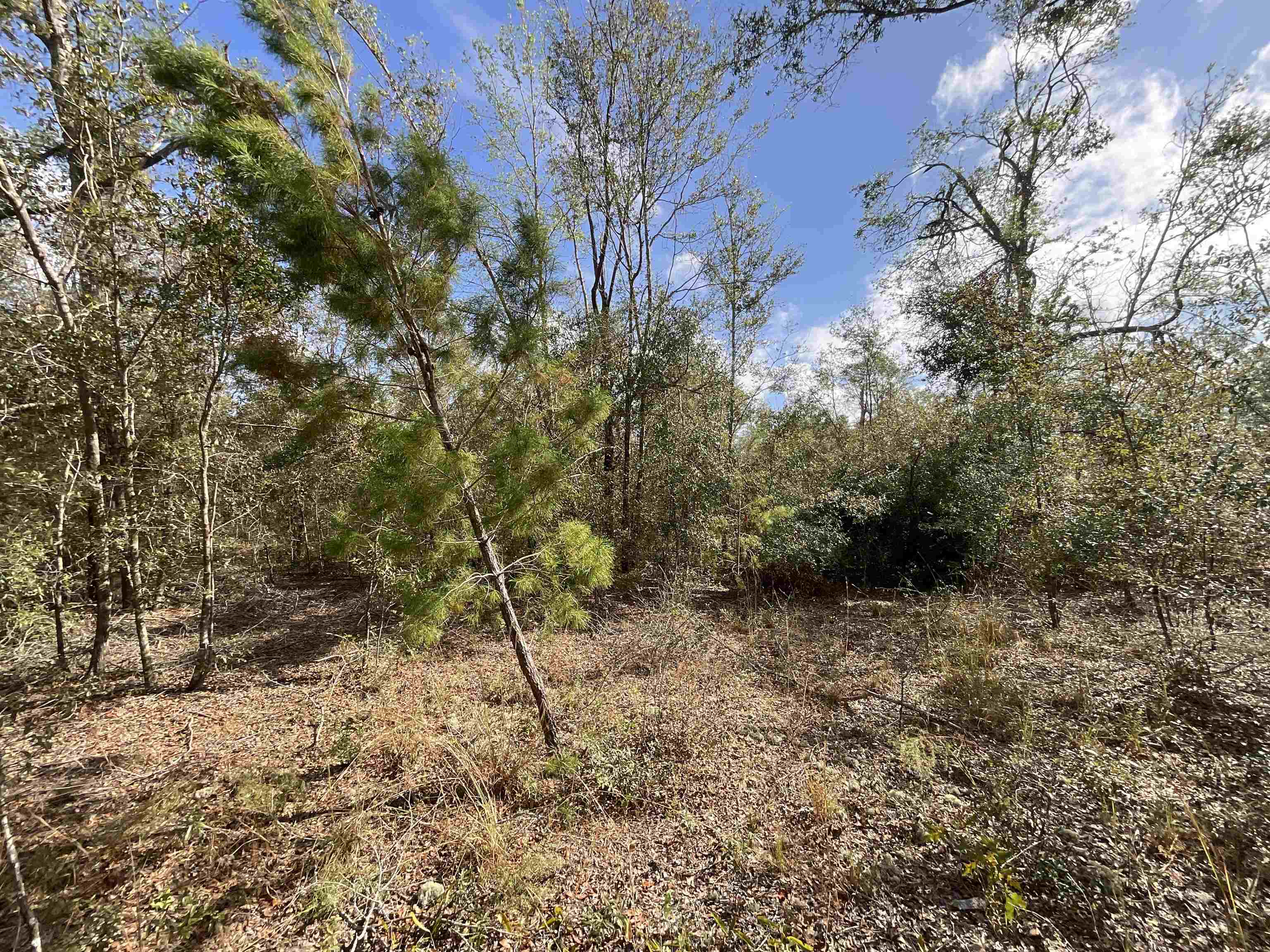 Vacant Southeast River Road Lee, FL 32059 - Photo 15 of 42