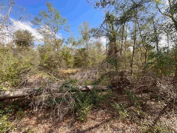 $120,000 | Vacant Southeast River Road, Lee, FL 32059