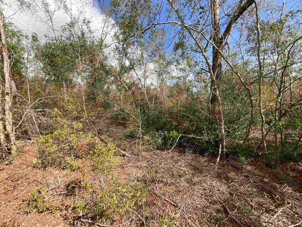 $120,000 | Vacant Southeast River Road, Lee, FL 32059