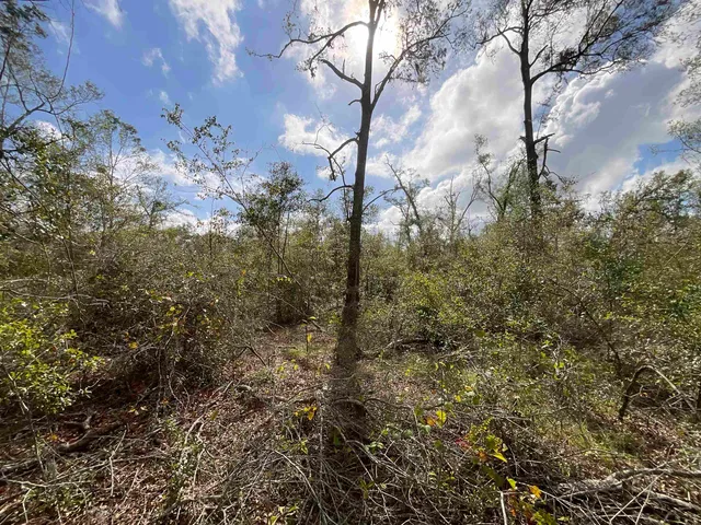 $120,000 | Vacant Southeast River Road, Lee, FL 32059