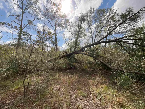 $120,000 | Vacant Southeast River Road, Lee, FL 32059