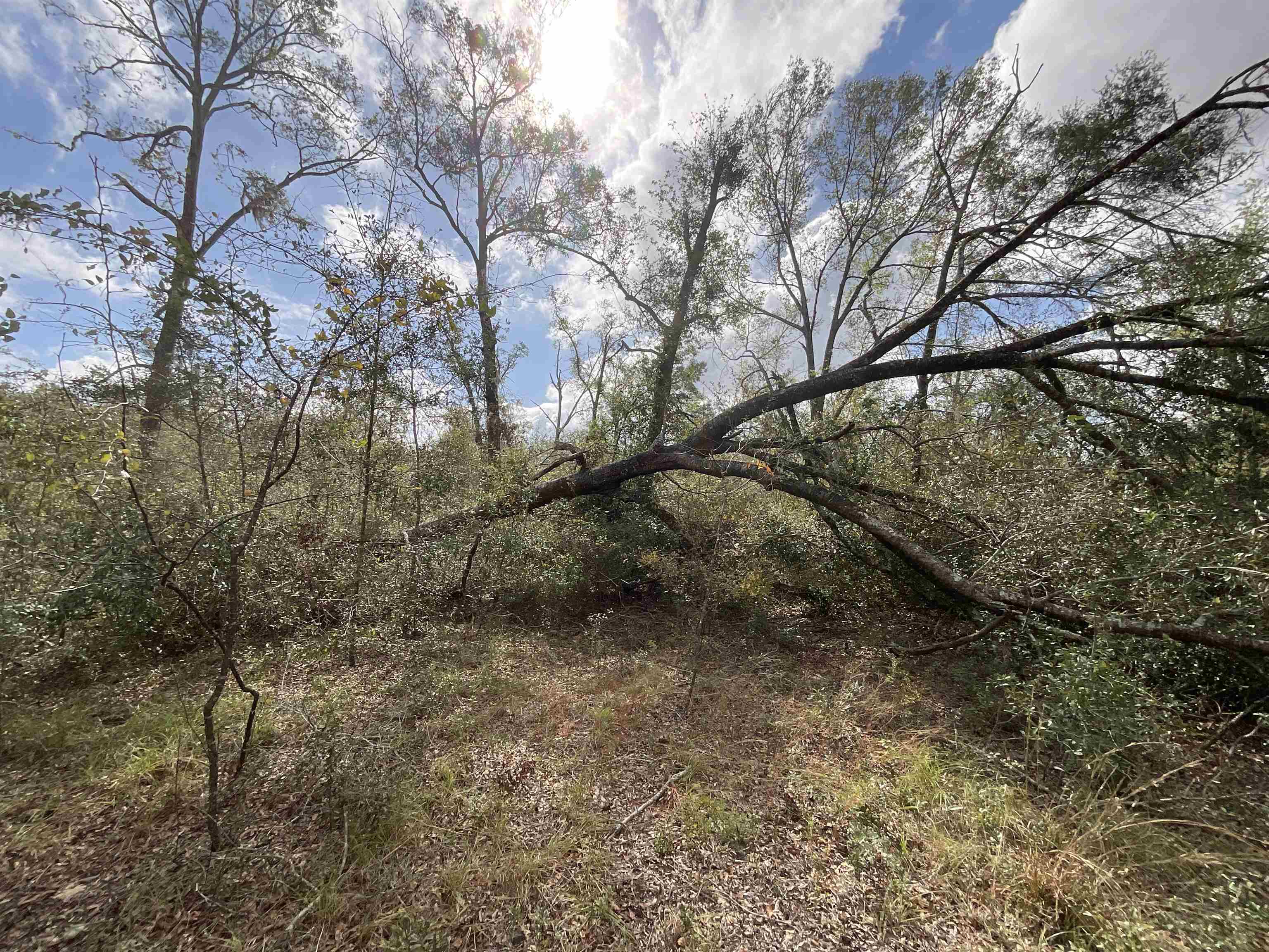 Vacant Southeast River Road Lee, FL 32059 - Photo 19 of 42