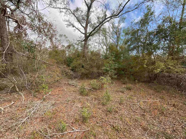 $120,000 | Vacant Southeast River Road, Lee, FL 32059